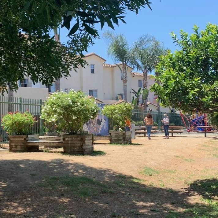 Outdoor green space with three above-ground trees in boxes on a sunny day. Playground, green fence, and residential homes in background.