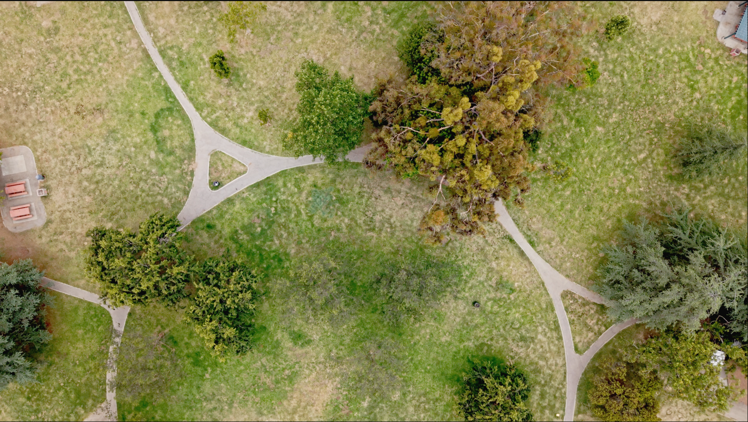 An overhead aerial view of a park with paved walking paths radiating from a central point across the grassy lawn and scattered trees.