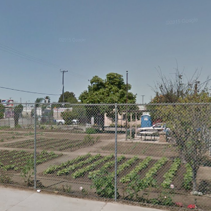 Outdoor garden in an urban area surrounded by chain-link fence. Garden has a white picnic table, trash can, and porta potty.